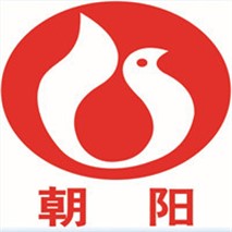 朝陽(yáng)泵業(yè)QZ軸流、QH混流潛水電泵